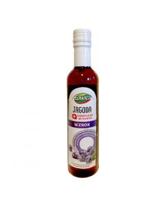 Lowicz Bluberry Syrup 250ml